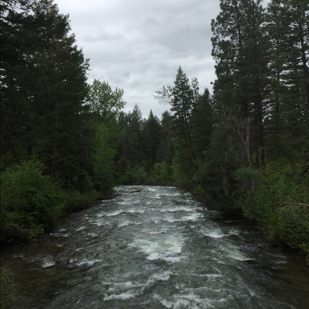 Meet your Posher, Jess